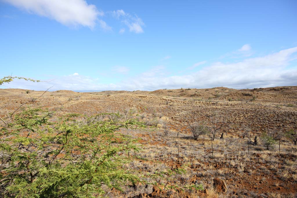 fotografia, material, livra, ajardine, imagine, proveja fotografia,A terra da lava, Green, Marrom, Lava, céu azul