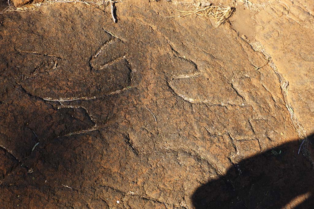 fotografia, materiale, libero il panorama, dipinga, fotografia di scorta,Puako Petroglyph, Lavico, Chiuda arte a chiave, Petroglyph, kaha-kii