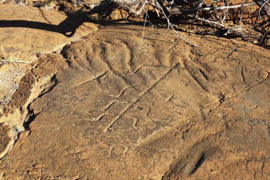 fotografia, materiale, libero il panorama, dipinga, fotografia di scorta,Puako Petroglyph, Lavico, Chiuda arte a chiave, Petroglyph, kaha-kii