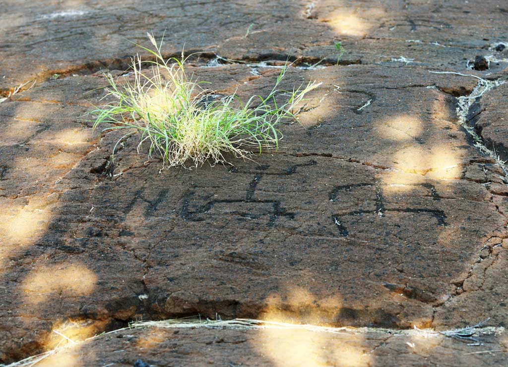 Foto, materiell, befreit, Landschaft, Bild, hat Foto auf Lager,Puako Petroglyph, Lava, Schließen Sie Kunst ab, Petroglyph, kaha-kii