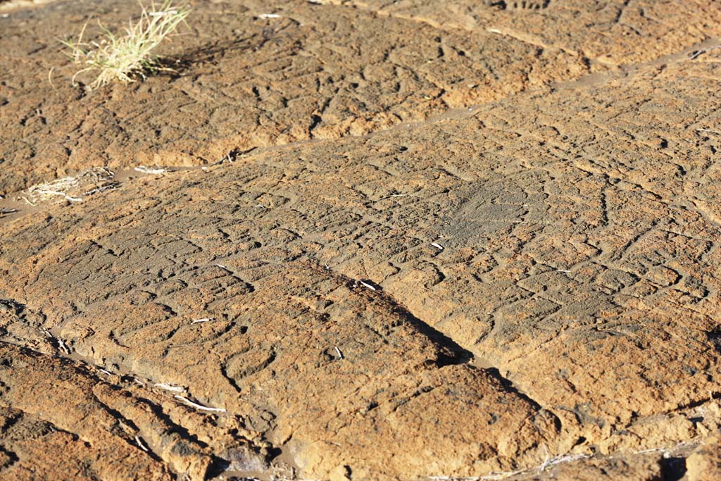 Foto, materiell, befreit, Landschaft, Bild, hat Foto auf Lager,Puako Petroglyph, Lava, Schließen Sie Kunst ab, Petroglyph, kaha-kii