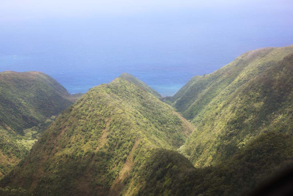 fotografia, materiale, libero il panorama, dipinga, fotografia di scorta,Isola di Hawaii valley, , , , 