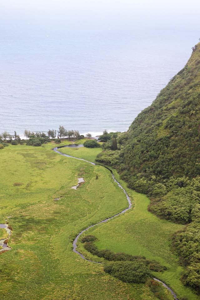 photo, la matière, libre, aménage, décrivez, photo de la réserve,L'île d'Hawaï Vallée Waimanu, , , , 