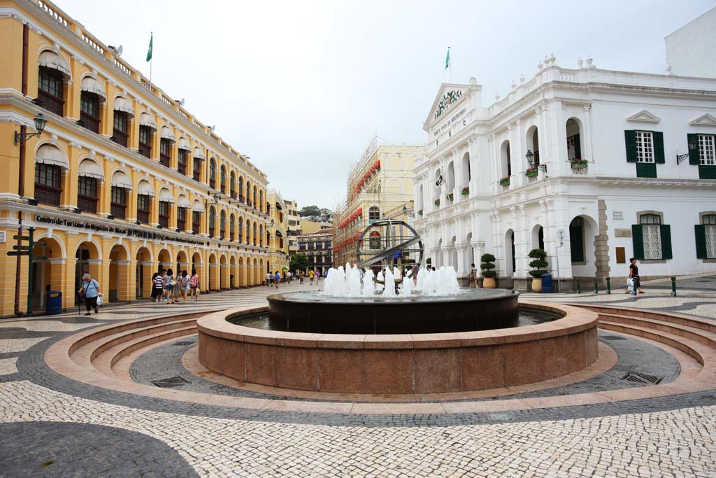 fotografia, material, livra, ajardine, imagine, proveja fotografia,Senado Square, , , , 