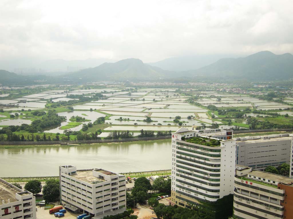 photo, la matière, libre, aménage, décrivez, photo de la réserve,Hong Kong de paddy, , , , 