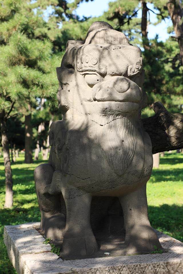 photo,material,free,landscape,picture,stock photo,Creative Commons,Image of Zhao Mausoleum (Qing) Beast, , , , 