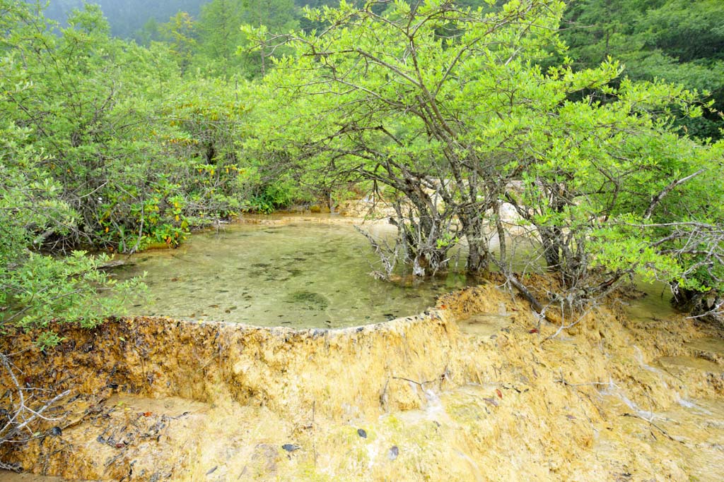 fotografia, materiale, libero il panorama, dipinga, fotografia di scorta,Huanglong, , , , 