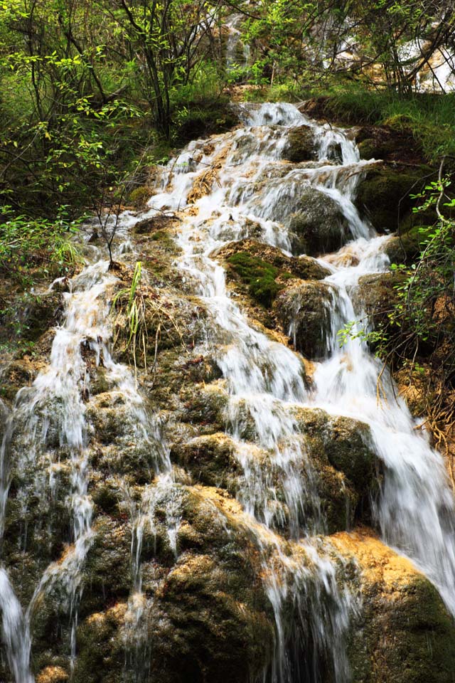 fotografia, materiale, libero il panorama, dipinga, fotografia di scorta,Chintamanada Jiuzhaigou, , , , 