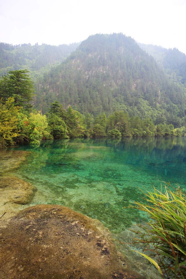 foto,tela,gratis,paisaje,fotografía,idea,De Jiuzhaigou Saiushiumi, , , , 