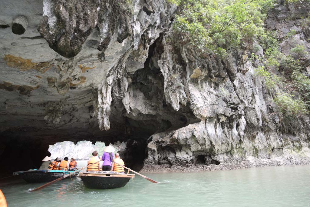 photo, la matière, libre, aménage, décrivez, photo de la réserve,Baie d'Halong, , , , 