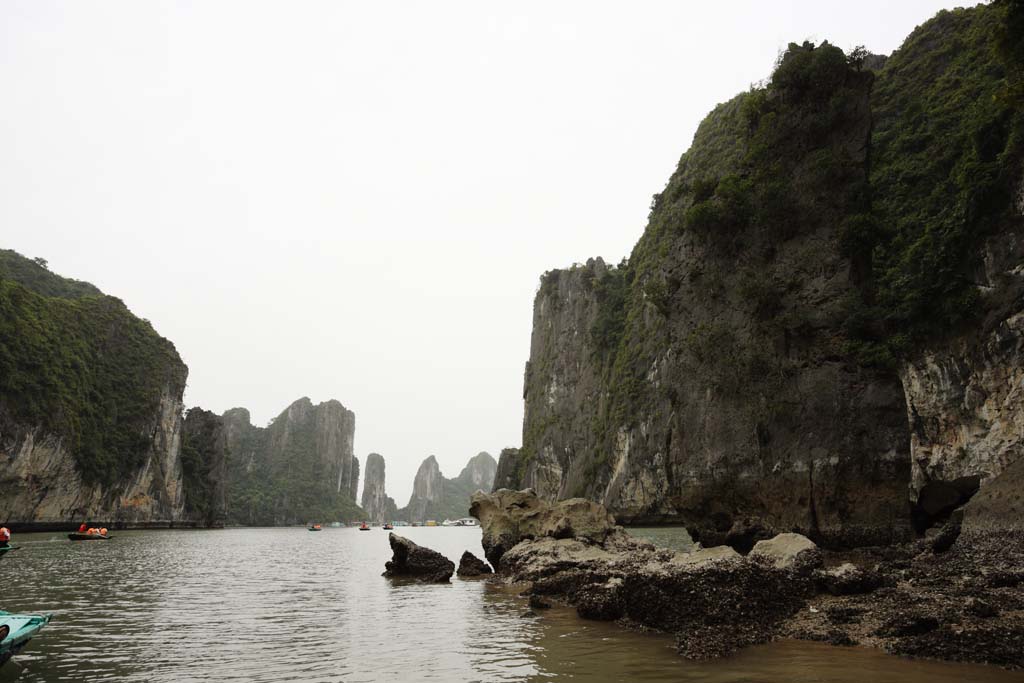 photo, la matière, libre, aménage, décrivez, photo de la réserve,Baie d'Halong, , , , 