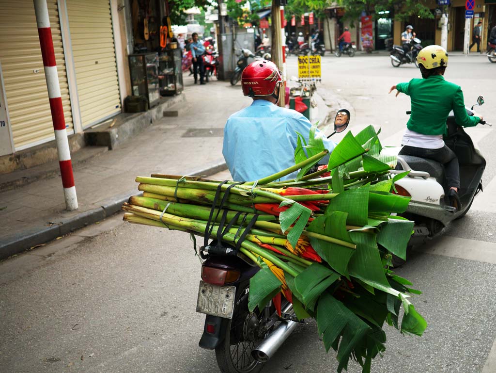 photo, la matière, libre, aménage, décrivez, photo de la réserve,La vieille ville de Hanoi, , , , 