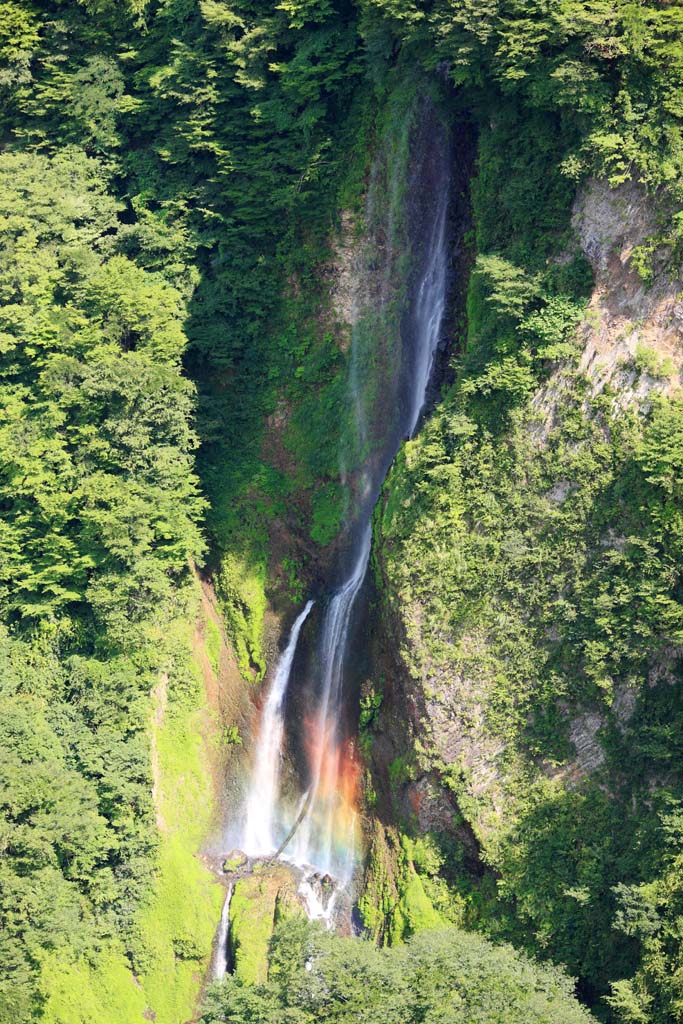 photo, la matière, libre, aménage, décrivez, photo de la réserve,Cascade Quake Medaki, , , , 