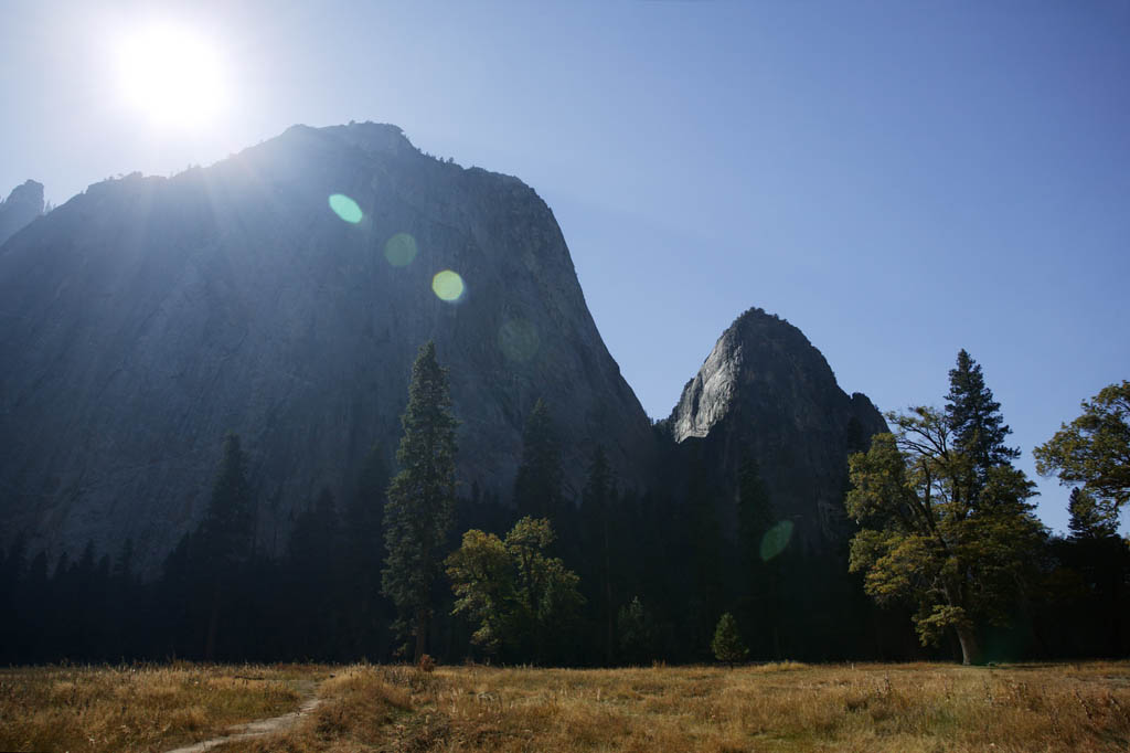 foto,tela,gratis,paisaje,fotografía,idea,Vóleibol de @ yosemite de rayo de sol del otoño, Montaña, Roca, Bosque, Despeñadero