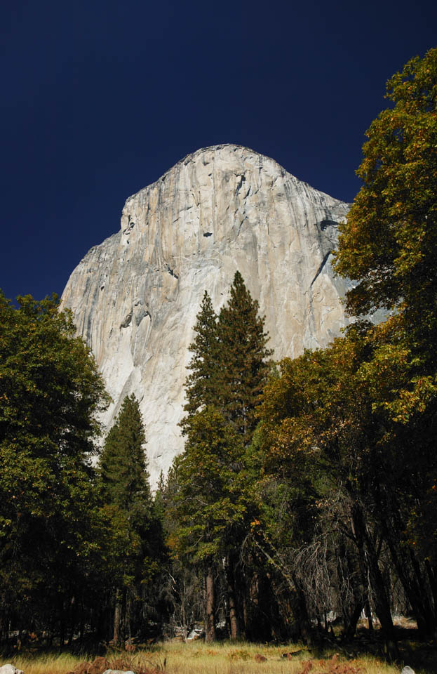 foto,tela,gratis,paisaje,fotografía,idea,Mira el despeñadero. , Despeñadero, Roca, Bosque, Árbol