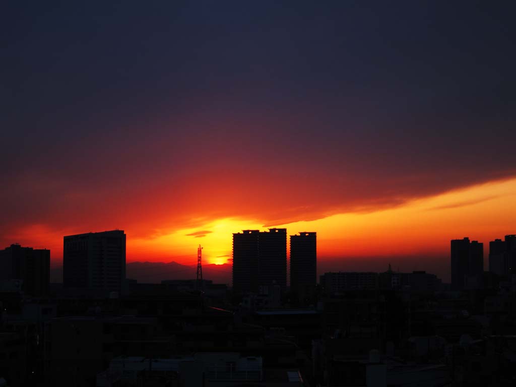 photo, la matière, libre, aménage, décrivez, photo de la réserve,Tokyo Sunset, , , , 