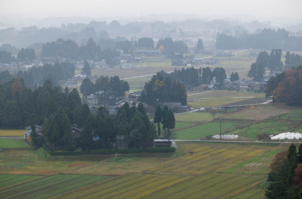 foto,tela,gratis,paisaje,fotografía,idea,Pueblo de la granja en Asaka, Pueblo de la granja, Campo, Casa confidencial, Bosque de barrera contra el viento