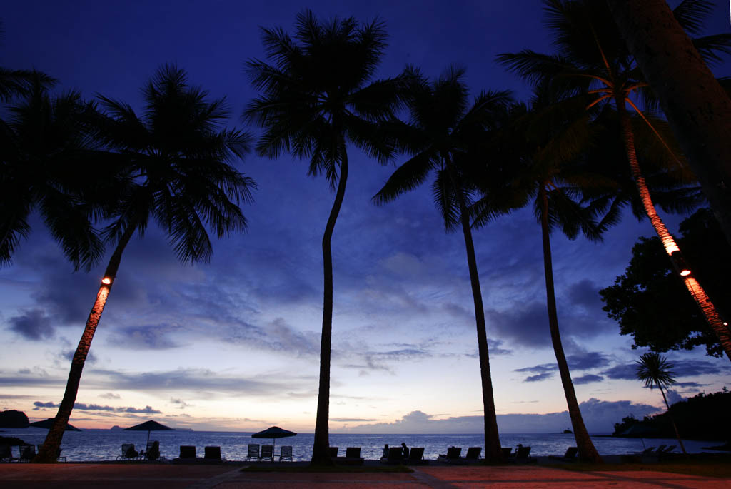 foto,tela,gratis,paisaje,fotografía,idea,Es una playa confidencial de noche, Sombrilla, Playa arenosa, Cocotero, La orilla