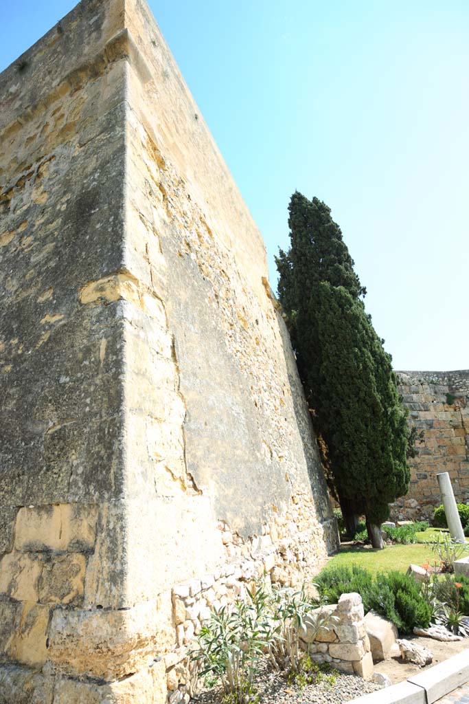 fotografia, materiale, libero il panorama, dipinga, fotografia di scorta,Roma le mura della città, , , , 