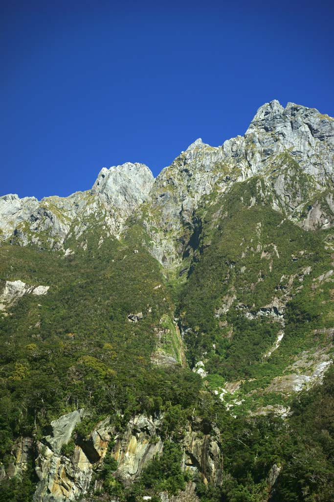 photo, la matière, libre, aménage, décrivez, photo de la réserve,Milford Sound, , , , 