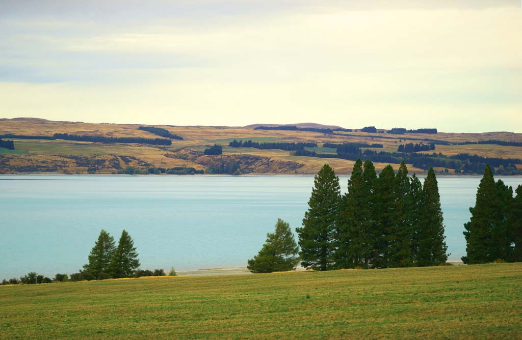 Foto, materieel, vrij, landschap, schilderstuk, bevoorraden foto,Lake Pukaki, , , , 