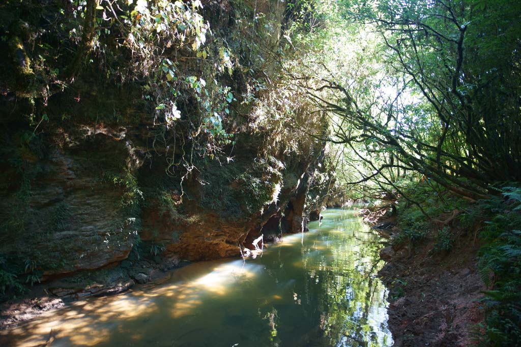 fotografia, materiale, libero il panorama, dipinga, fotografia di scorta,Il Waitomo glow worm grotte, , , , 