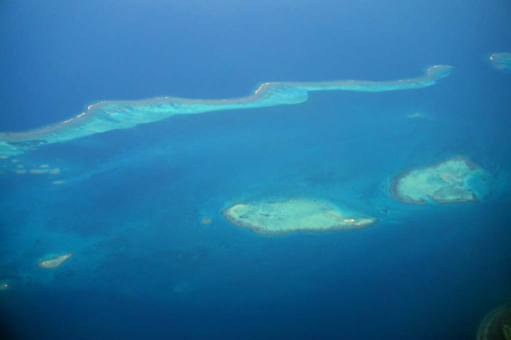 Foto, materieel, vrij, landschap, schilderstuk, bevoorraden foto,Nieuw Caledonië Coral, , , , 