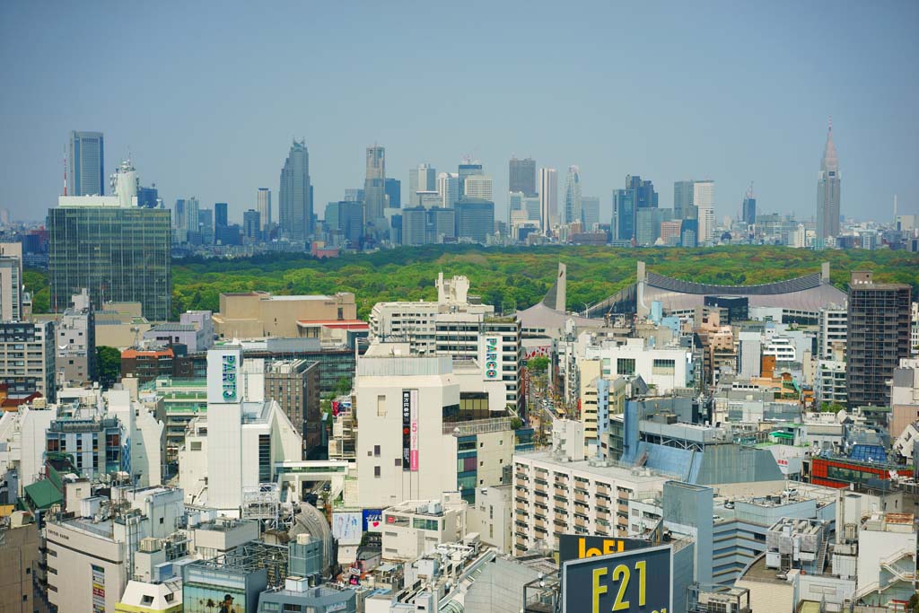 photo, la matière, libre, aménage, décrivez, photo de la réserve,Shibuya, , , , 