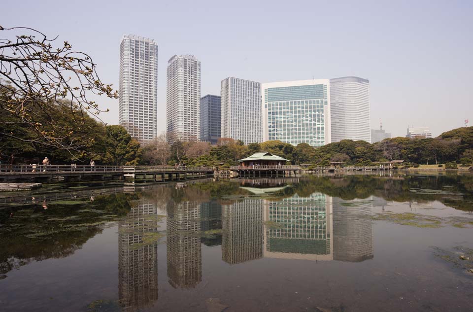 foto,tela,gratis,paisaje,fotografía,idea,Un grupo de la construcción de Shiodome y una laguna del daño por el agua de mar, Laguna, Edificio, Soy japonés -style, 