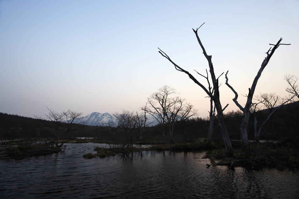 Foto, materieel, vrij, landschap, schilderstuk, bevoorraden foto,Een vochtigheid vlakte van een vroege morgen, Moeras, De oppervlakte van het water, Berg, Boom