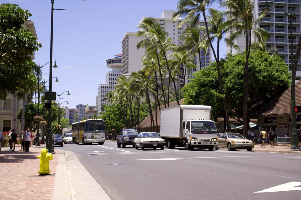 Foto, materiell, befreit, Landschaft, Bild, hat Foto auf Lager,Waikiki zufolge, Kokosnussbaum, Bus, Lastwagen, Gebäude