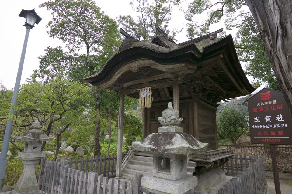 foto,tela,gratis,paisaje,fotografía,idea,Un santuario pequeño, Santuario pequeño, , Canasta de linterna de piedra, Edificio japonés -style