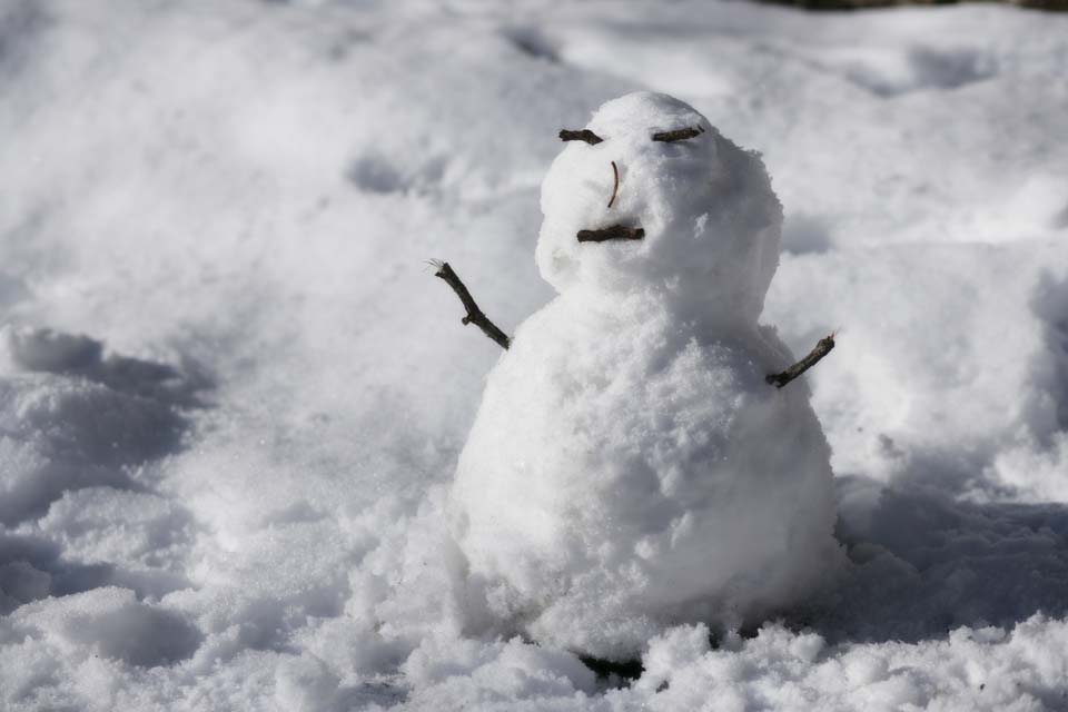 photo, la matière, libre, aménage, décrivez, photo de la réserve,Joie d'un bonhomme de neige, bonhomme de neige, , Yuki Dharma poupée, champ neigeux