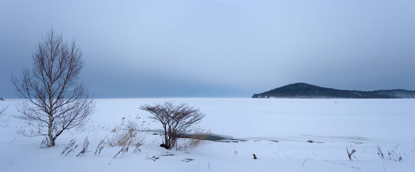 photo, la matière, libre, aménage, décrivez, photo de la réserve,Hiver de lac Saroma, lac, Bouleau blanc, C'est neigeux, l'étang fond