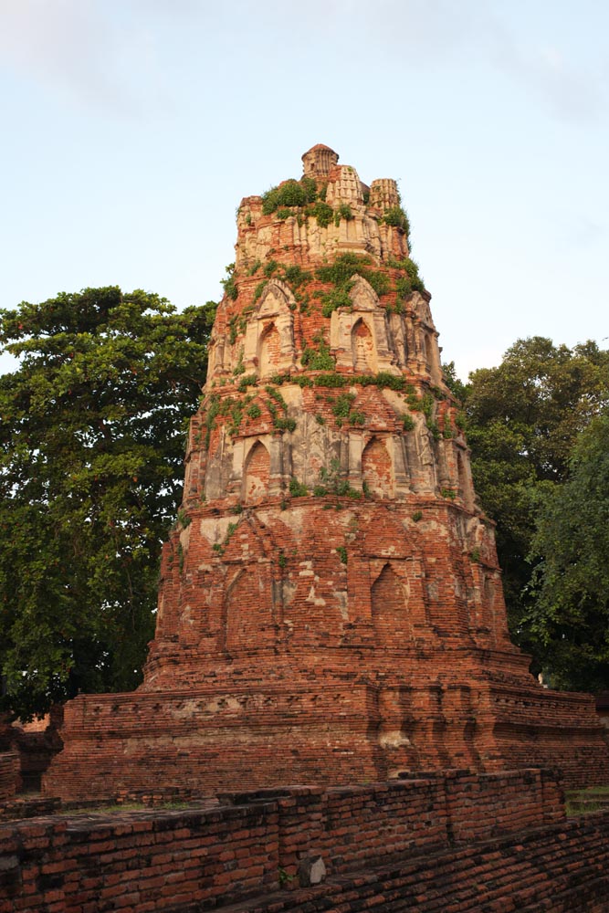 foto,tela,gratis,paisaje,fotografía,idea,Wat Phra Mahathat, La herencia cultural de mundo, Buddhism, Pagoda, Sobras de Ayutthaya