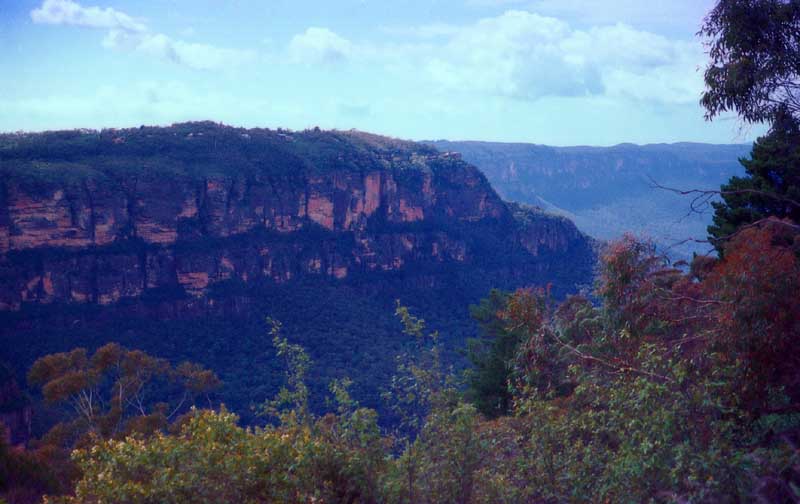 foto,tela,gratis,paisaje,fotografía,idea,Blue Mountain, Despeñadero, Montaña, Árbol, 