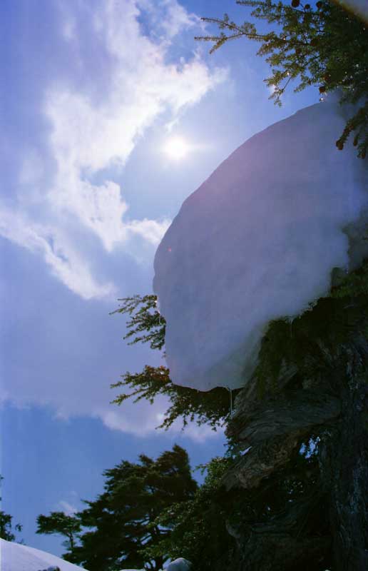 Foto, materiell, befreit, Landschaft, Bild, hat Foto auf Lager,Sonnenlicht, das stärker wird, Schnee, Sonne, Baum, 