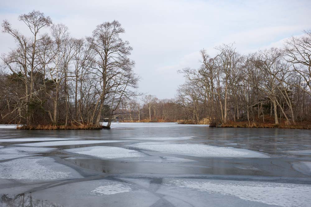 Foto, materiell, befreit, Landschaft, Bild, hat Foto auf Lager,Eine Oberfläche eines Sees vom Frieren, Eis, See, See Onuma, Das Frieren