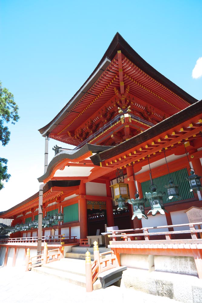 fotografia, material, livra, ajardine, imagine, proveja fotografia,Kasuga Taisha santuário, Xintoísmo, Santuário de Xintoísmo, Eu sou pintado em vermelho, telhado