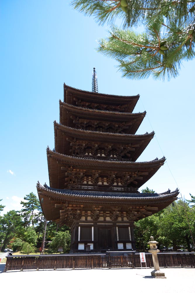 Foto, materieel, vrij, landschap, schilderstuk, bevoorraden foto,Kofuku-ji Temple Five Storeyed Pagoda, Boeddhisme, Van hout gebouw, Vijf Storeyed Pagoda, Wereld heritage