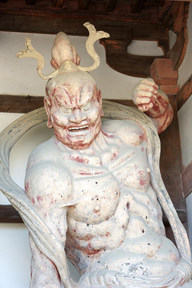 photo, la matière, libre, aménage, décrivez, photo de la réserve,La porte de Temple Horyu-ji a construit entre la porte principale et la maison principale de l'architecture palais-appelée dans la période Fujiwara Roi Deva (Agata)), Bouddhisme, Nio image de la divinité gardienne, divinité gardienne, Muscularité