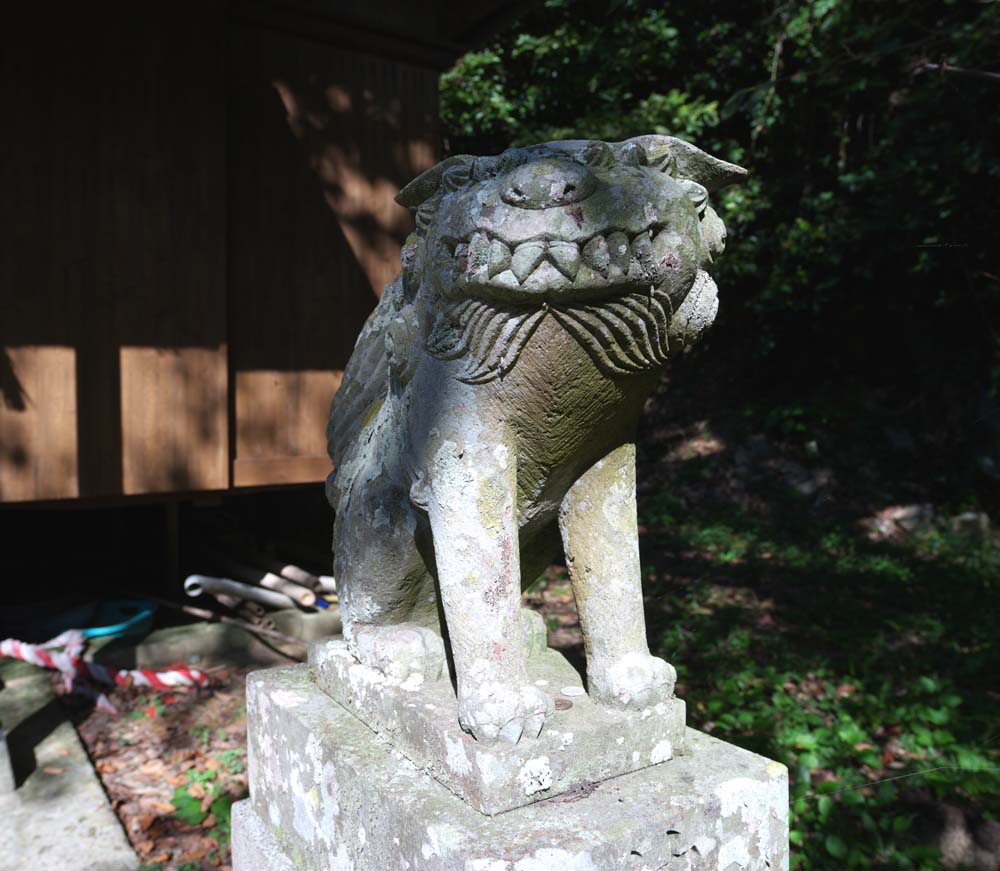 photo, la matière, libre, aménage, décrivez, photo de la réserve,Une paire de chiens du gardien de pierre de Goto, paire de chiens du gardien de pierre, chef, Temple shintoïste, Shintoïsme