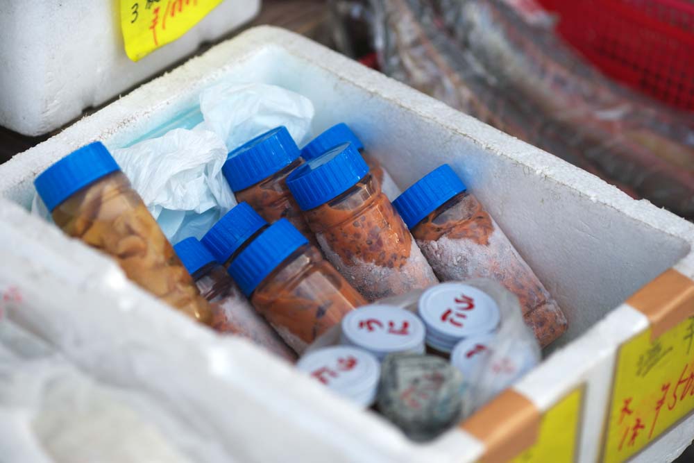 photo, la matière, libre, aménage, décrivez, photo de la réserve,Produits marins, , oursin, Le poisson étripe conservé dans le sel, seiche