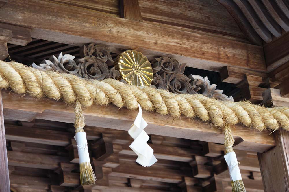 fotografia, material, livra, ajardine, imagine, proveja fotografia,Kompira-san Santuário decoração de Hongu, Santuário de Xintoísmo templo budista, crisântemo, edifício de madeira, Xintoísmo