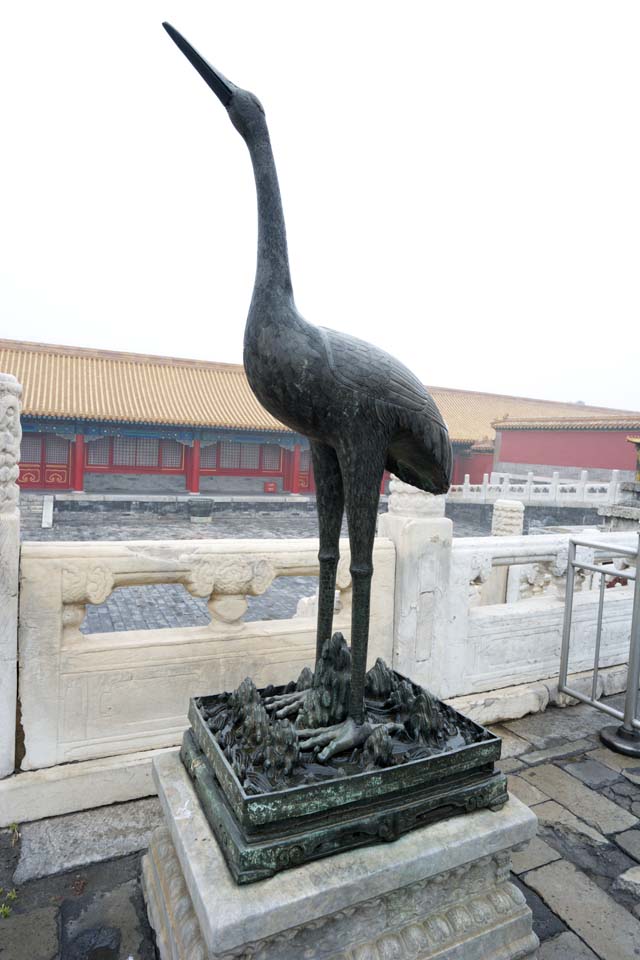 photo, la matière, libre, aménage, décrivez, photo de la réserve,Cité Interdite grue Ding, TSURU, Grues, Décor, Héritage Mondial