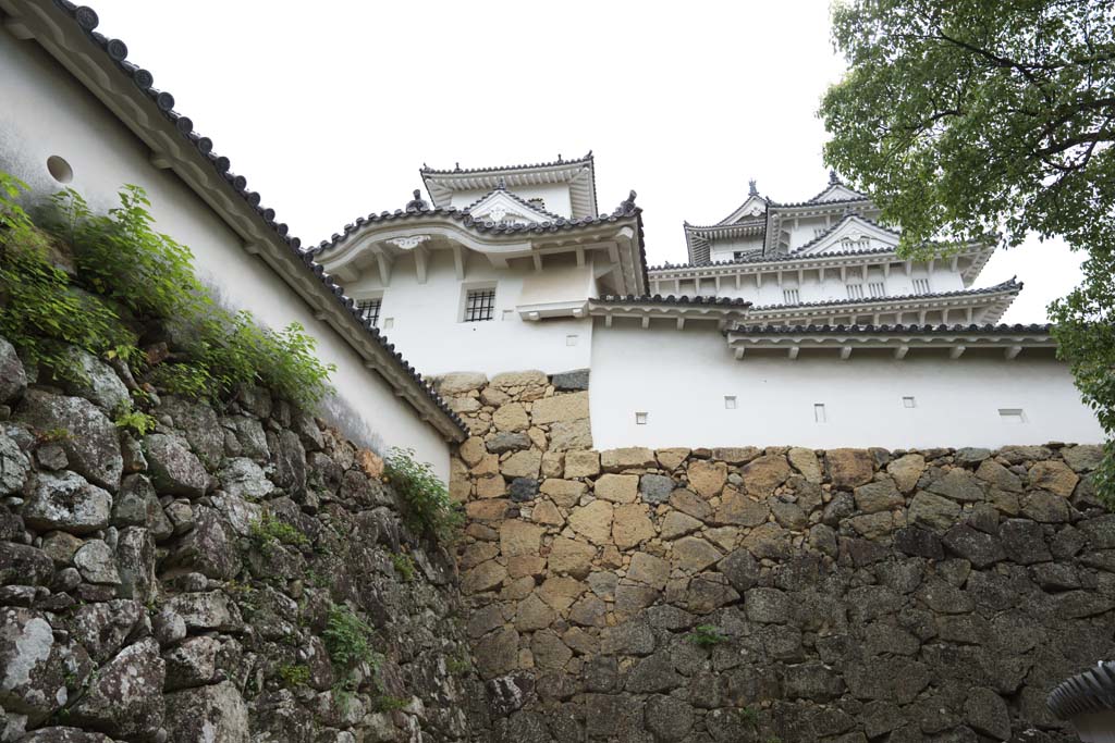 fotografia, materiale, libero il panorama, dipinga, fotografia di scorta,Himeji-jo il Castello, Quattro tesori nazionali Arroccano, Sadanori Akamatsu, Shigetaka Kuroda, Hideyoshi Hashiba