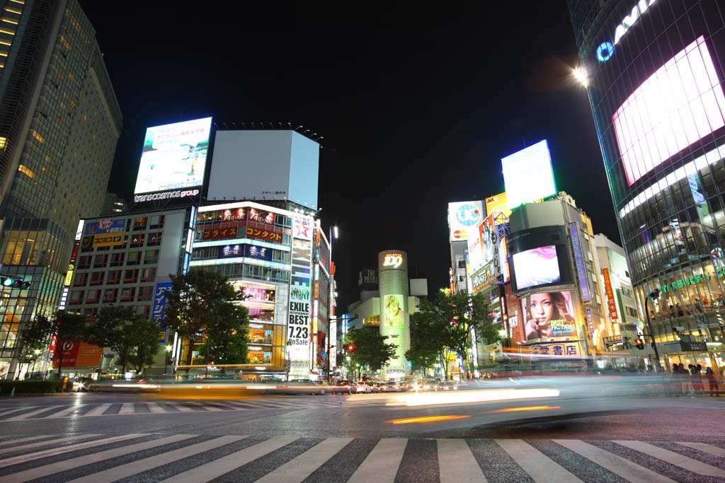 foto,tela,gratis,paisaje,fotografía,idea,Noche de Shibuya, En el centro, Shibuya 109, Paso de peatones, Letrero de gas de neón