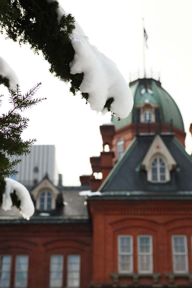 Foto, materieel, vrij, landschap, schilderstuk, bevoorraden foto,Sneeuw en Hokkaido agentuur, De sneeuw, Hét rime op de bomen, De boom van de den, Hokkaido