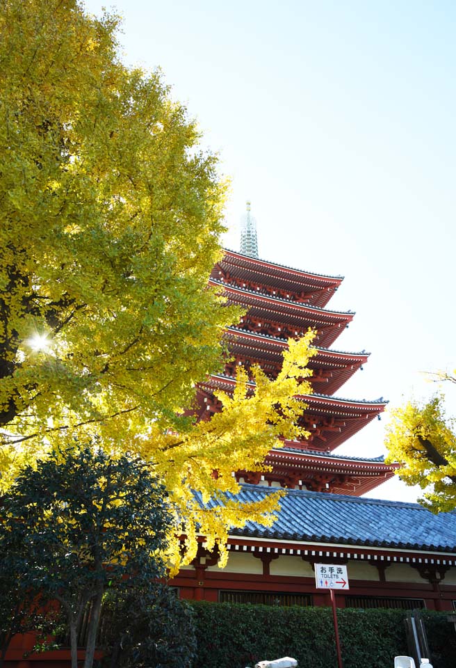 fotografia, materiale, libero il panorama, dipinga, fotografia di scorta,Tempio di Senso-ji cinque pagoda di Storeyed, Chaitya, Tempio di Senso-ji, Asakusa, Io sono dipinto in rosso