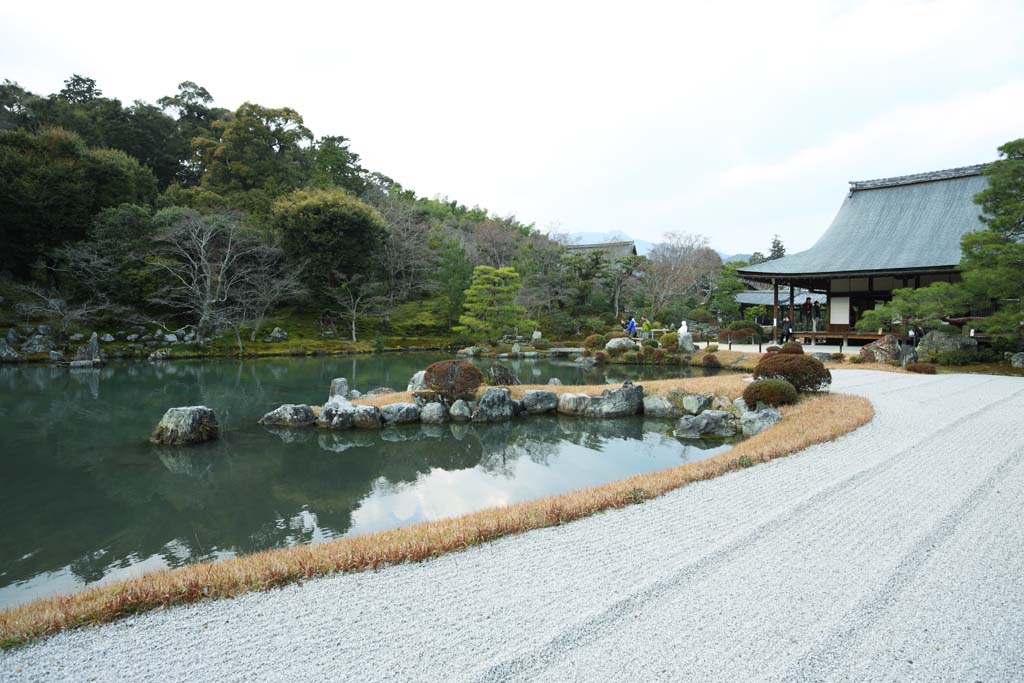 foto,tela,gratis,paisaje,fotografía,idea,Jardín de Tenryu - ji, Chaitya, Laguna, Herencia de mundo, Sagano